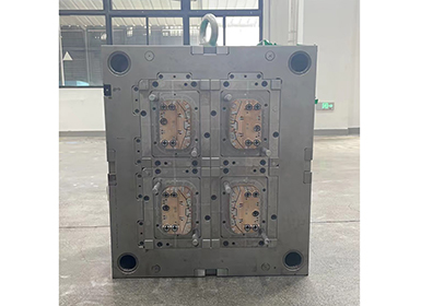 Mould show