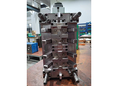 Mould show